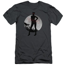 Load image into Gallery viewer, Arkham City - Catwoman Convicted Short Sleeve Adult 30/1
