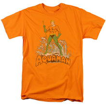 Load image into Gallery viewer, Dc - Aquaman Distressed Short Sleeve Adult 18/1
