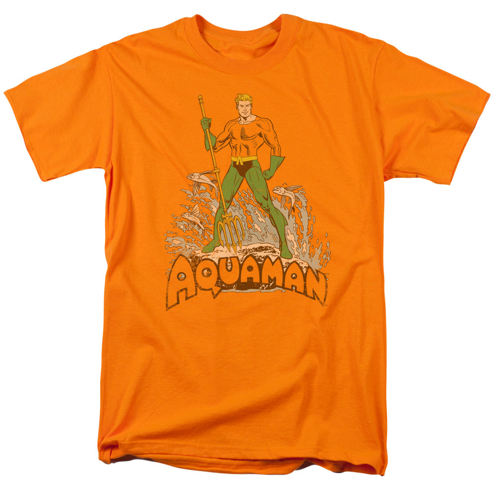 Dc - Aquaman Distressed Short Sleeve Adult 18/1