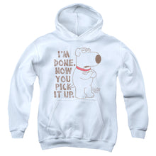 Load image into Gallery viewer, Family Guy - Pick It Up Youth Pull Over Hoodie

